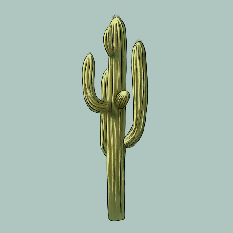 Cactus Premium Sweatshirt by BarkalooDesign | Teevron