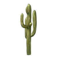 cactus | Teevron