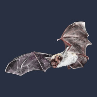 Mexican Free Tailed Bat Heavyweight Sweatshirt | Teevron