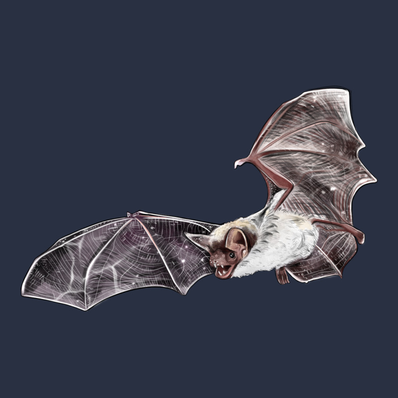 Mexican Free Tailed Bat Heavyweight Sweatshirt by LillyAllenDesigns | Teevron