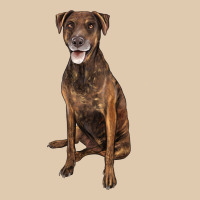 Plott Hound Heavyweight Sweatshirt | Teevron