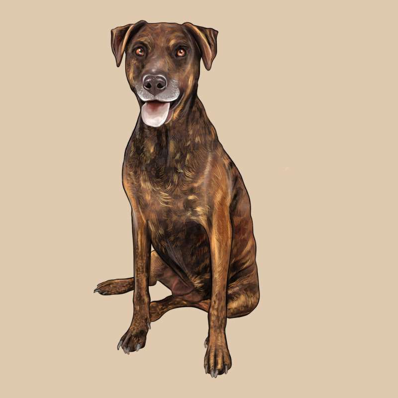 Plott Hound Heavyweight Sweatshirt by LillyAllenDesigns | Teevron
