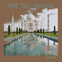 India Agra Taj Mahal Mausoleum Travel Tourist Premium Tee | Teevron