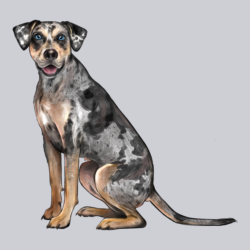 Catahoula Leopard Dog Heavyweight Sweatshirt by LillyAllenDesigns | Teevron