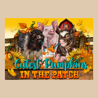 Cutest Pumpkin In The Patch Pig Heavyweight Sweatshirt | Teevron