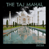 India Agra Taj Mahal Mausoleum Travel Tourist Zipper Hoodie | Teevron