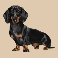 Dachshund Dog Illustrations Heavyweight Sweatshirt | Teevron