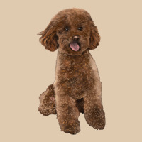 Poodles Dog Lllustrations Heavyweight Sweatshirt | Teevron