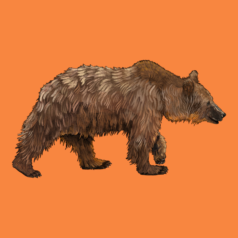 Bear Premium Sweatshirt by BarkalooDesign | Teevron