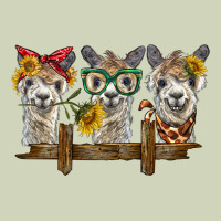 3 Alpacas Heavyweight Hoodie | Teevron