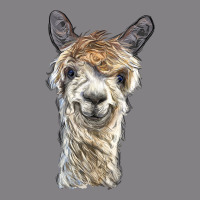 Alpaca Heavyweight Hoodie | Teevron