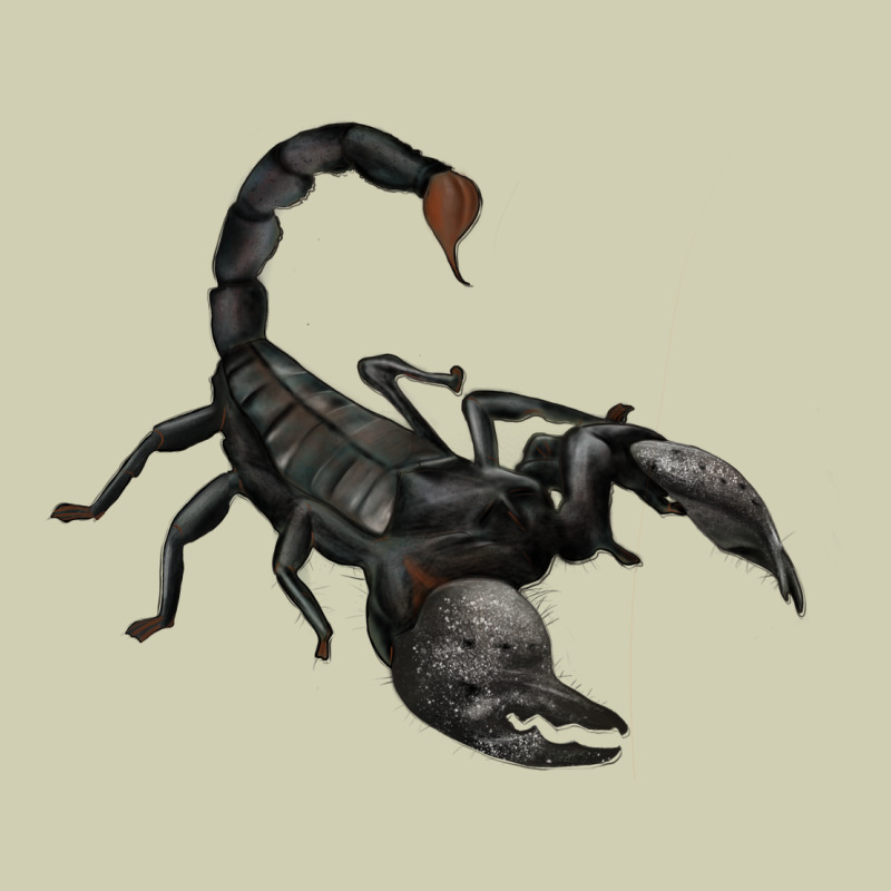 Scorpion Heavy Core Tee by JahusDesignShop | Teevron