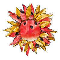 watermelon sunflower | Teevron