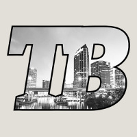 Tb Tampa Bay City Skyline Of Tampa Bay, Florida Heavy Core Tee | Teevron