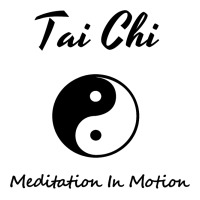 Tai Chi T, Meditation In Motion, Martial Arts Gift | Teevron