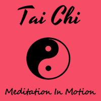 Tai Chi T, Meditation In Motion, Martial Arts Gift Premium Sweatshirt | Teevron