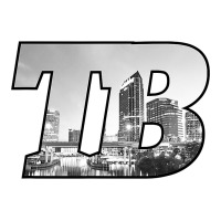 TB Tampa Bay City Skyline of Tampa Bay, Florida | Teevron