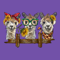 3 Alpacas Premium Sweatshirt | Teevron