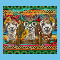 Alpacas Premium Sweatshirt | Teevron