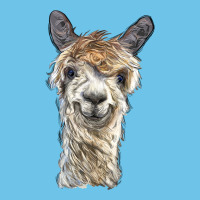 Alpaca Premium Sweatshirt | Teevron