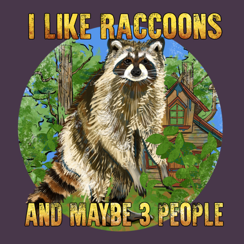 I Like Raccoons And 3 People Heavyweight Hoodie by BarkalooDesign | Teevron