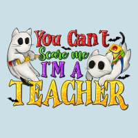 You Can't Scare Me I'm A Teacher Ladies Tee | Teevron