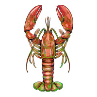 lobster | Teevron