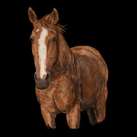 Brown Horse Urban Heavy Tee | Teevron