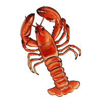 crawfish | Teevron