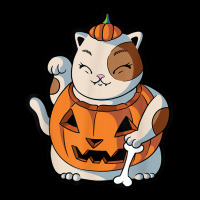 Cute Kawaii Maneki Neko Cat Halloween Pumpkin Costume Boys Urban Hoodie | Teevron
