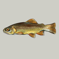 Arizona Apache Trout Fish Heavyweight Hoodie | Teevron