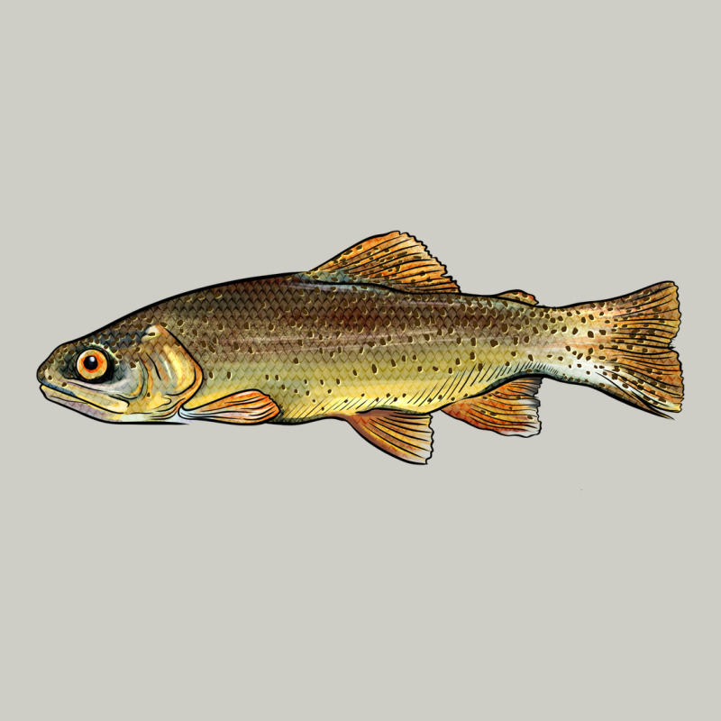 Arizona Apache Trout Fish Heavyweight Hoodie by BarkalooDesign | Teevron