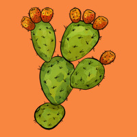 Cactus Premium Sweatshirt | Teevron