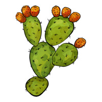 cactus | Teevron