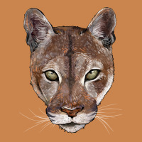 Florida Panther  Face Heavyweight Hoodie | Teevron