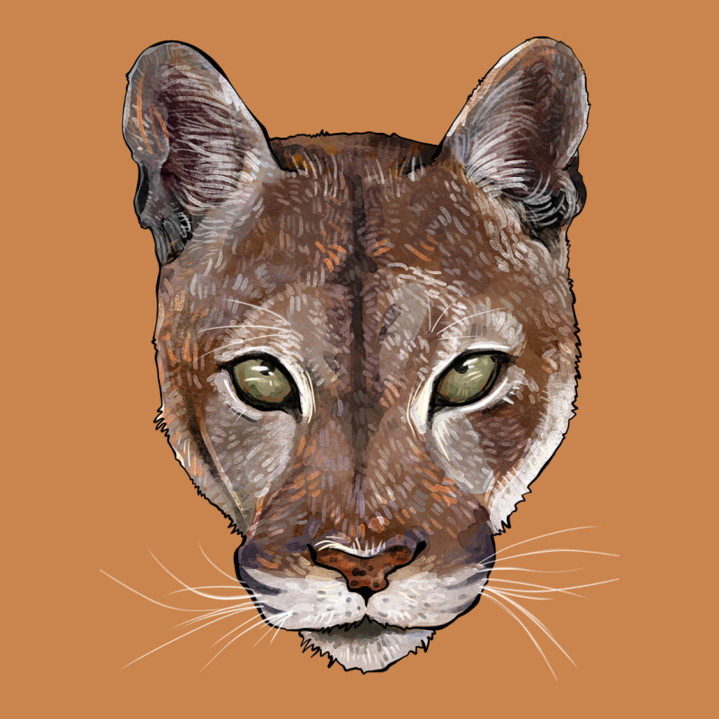 Florida Panther  Face Heavyweight Hoodie by BarkalooDesign | Teevron