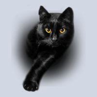 Black Cat Yellow Eyescats Tee Shirt Gifts Premium Sweatshirt | Teevron