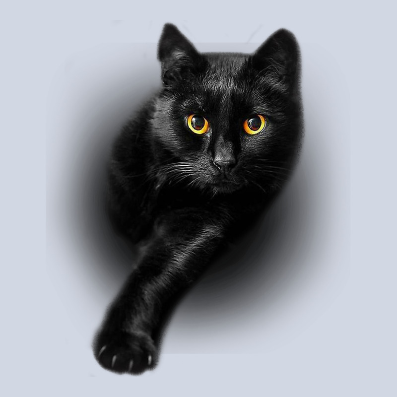 Black Cat Yellow Eyescats Tee Shirt Gifts Premium Sweatshirt by trangStudio | Teevron