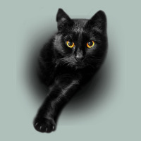 Black Cat Yellow Eyescats Tee Shirt Gifts Heavyweight Hoodie | Teevron