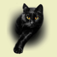 Black Cat Yellow Eyescats Tee Shirt Gifts Urban Hoodie | Teevron