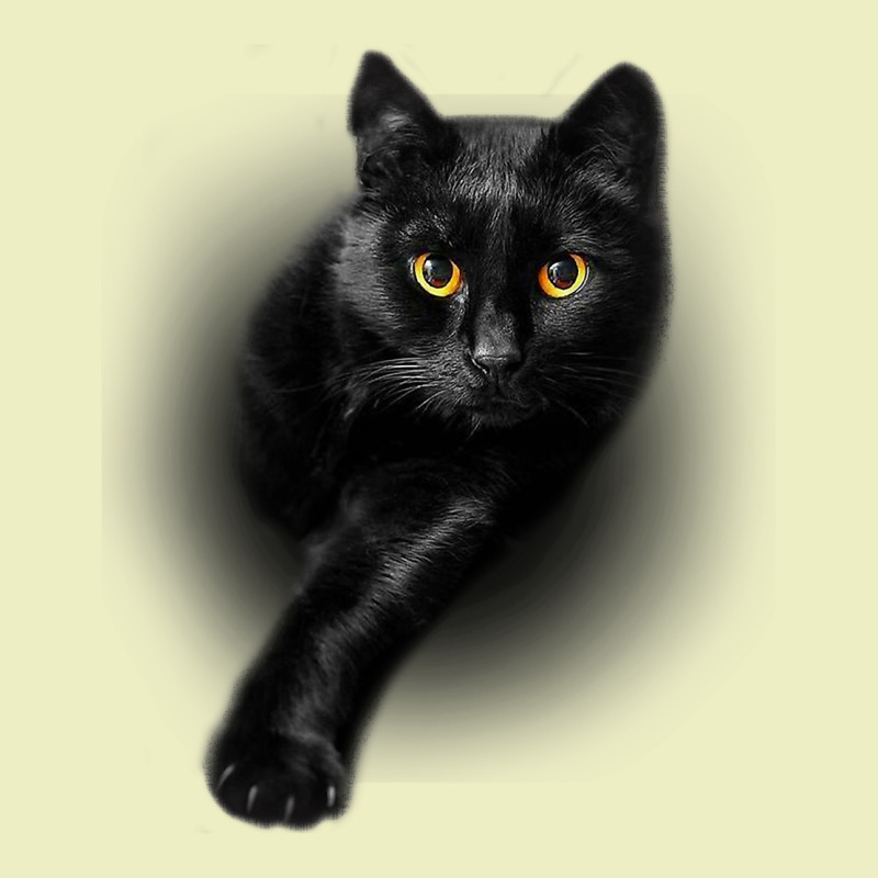 Black Cat Yellow Eyescats Tee Shirt Gifts Urban Hoodie by trangStudio | Teevron