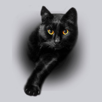 Black Cat Yellow Eyescats Tee Shirt Gifts Classic Tee | Teevron