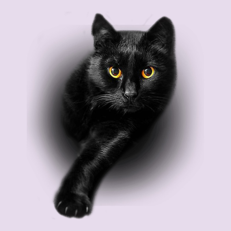 Black Cat Yellow Eyescats Tee Shirt Gifts Premium Hoodie by trangStudio | Teevron