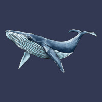 Humpback Whale Heavyweight Hoodie | Teevron