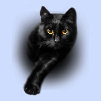 Black Cat Yellow Eyescats Tee Shirt Gifts Urban Heavy Tee | Teevron