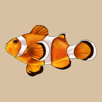 Clown Fish Side Heavyweight Hoodie | Teevron