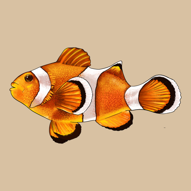 Clown Fish Side Heavyweight Hoodie by BarkalooDesign | Teevron