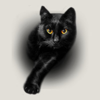 Black Cat Yellow Eyescats Tee Shirt Gifts Heavy Core Tee | Teevron