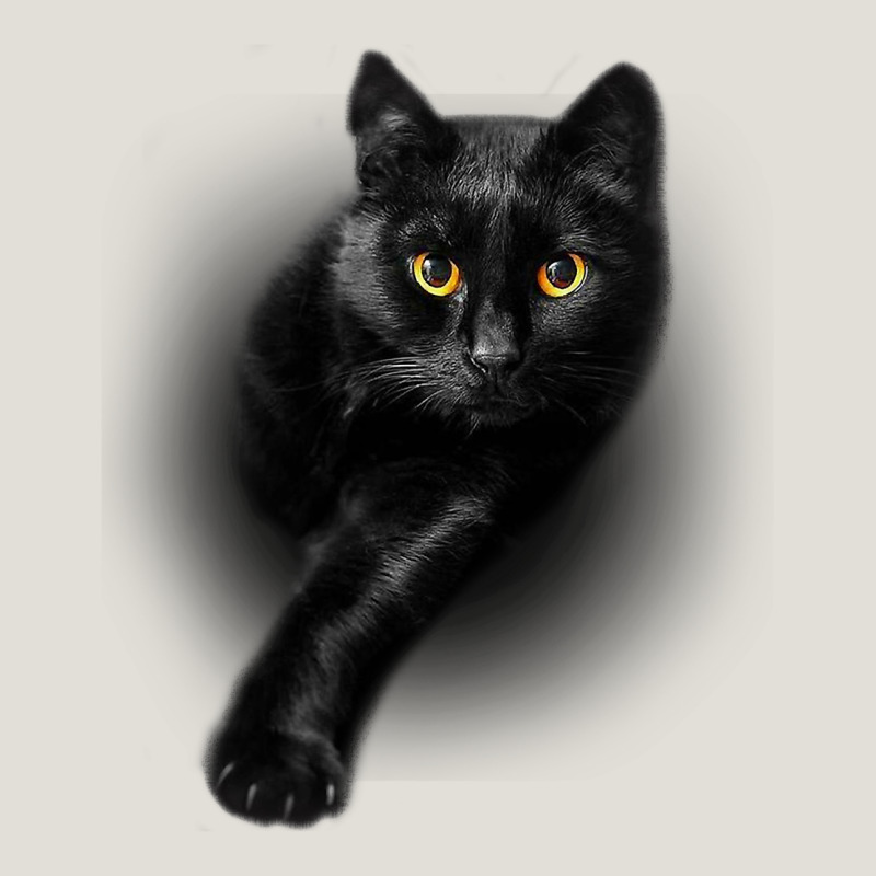Black Cat Yellow Eyescats Tee Shirt Gifts Heavy Core Tee by trangStudio | Teevron