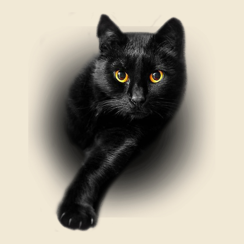 Black Cat Yellow Eyescats Tee Shirt Gifts Premium Tee by trangStudio | Teevron